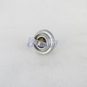 Термостат J8000-1306004