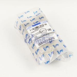 Реле задержки выключения АКБ 1542.3787 КамАЗ