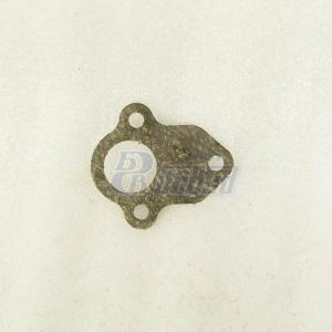 Прокладка  заглушки водяной коробки 740.1303198