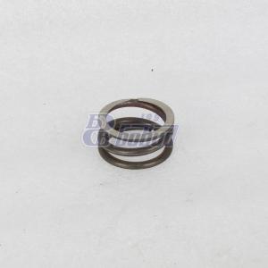 Пружина опоры рычага 14.1702236