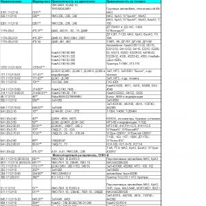 Распылитель  ЕВРО-2 (АЗПИ) (дв. 740.30;740.31)  904-1112110-1