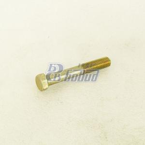 Болт М10-1,25х65  200458-П29