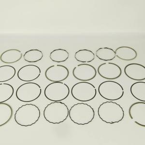 Комплект колец поршневых 100.00 мм/Мичуринск 421.1000100