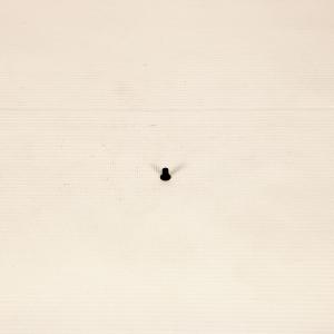 Заклепка сцепления ВАЗ 2108