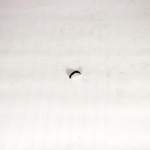 Шпонка коленвала ВАЗ 2101