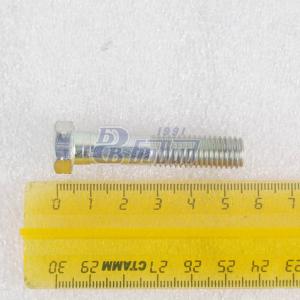 Болт М10х50-6g  200319-П29