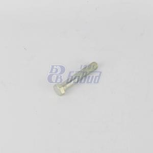 Болт М10х55  200320-П29