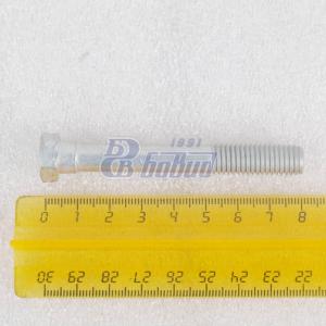 Болт М10х75  200324-П29